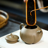 Magicaleast Chinese Zisha Teapot, Yixing Purple Clay Personal Handmade Teapot, Qie Gua Zhu Yun Qing Feng