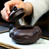Magicaleast Chinese Zisha Teapot, Yixing Purple Clay Personal Handmade Teapot, Yu Hua Long