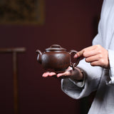 Magicaleast Chinese Zisha Teapot, Yixing Purple Clay Personal Handmade Teapot, GU Yun