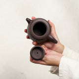 Magicaleast Chinese Zisha Teapot, Yixing Purple Clay Personal Handmade Teapot, Xi Shan Jing Lan
