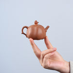 Magicaleast Chinese Zisha Teapot, Yixing Purple Clay Personal Handmade Teapot, Shi Liu